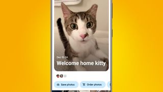 An Android phone on an orange background showing a photo of a kitten being shared in the Google Photos Memories feature