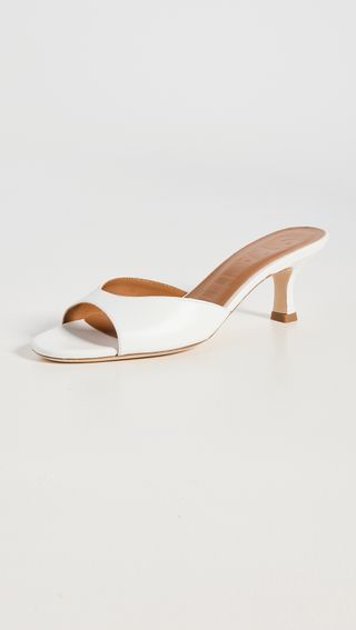 Brigitte mule