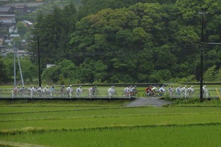The peloton rides past a rice paddy