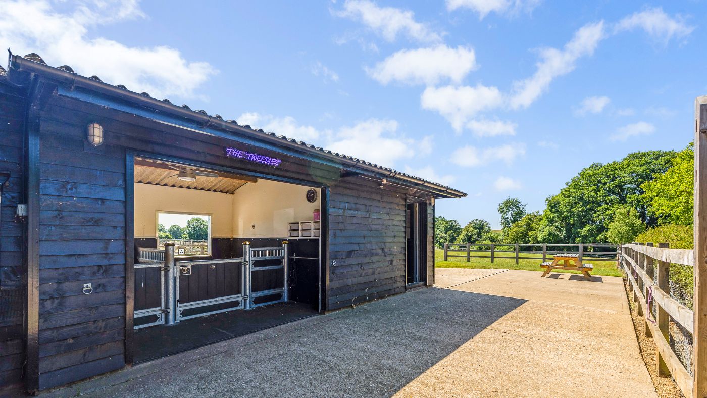 Guildenhurst-Stud-Savills-16.jpg