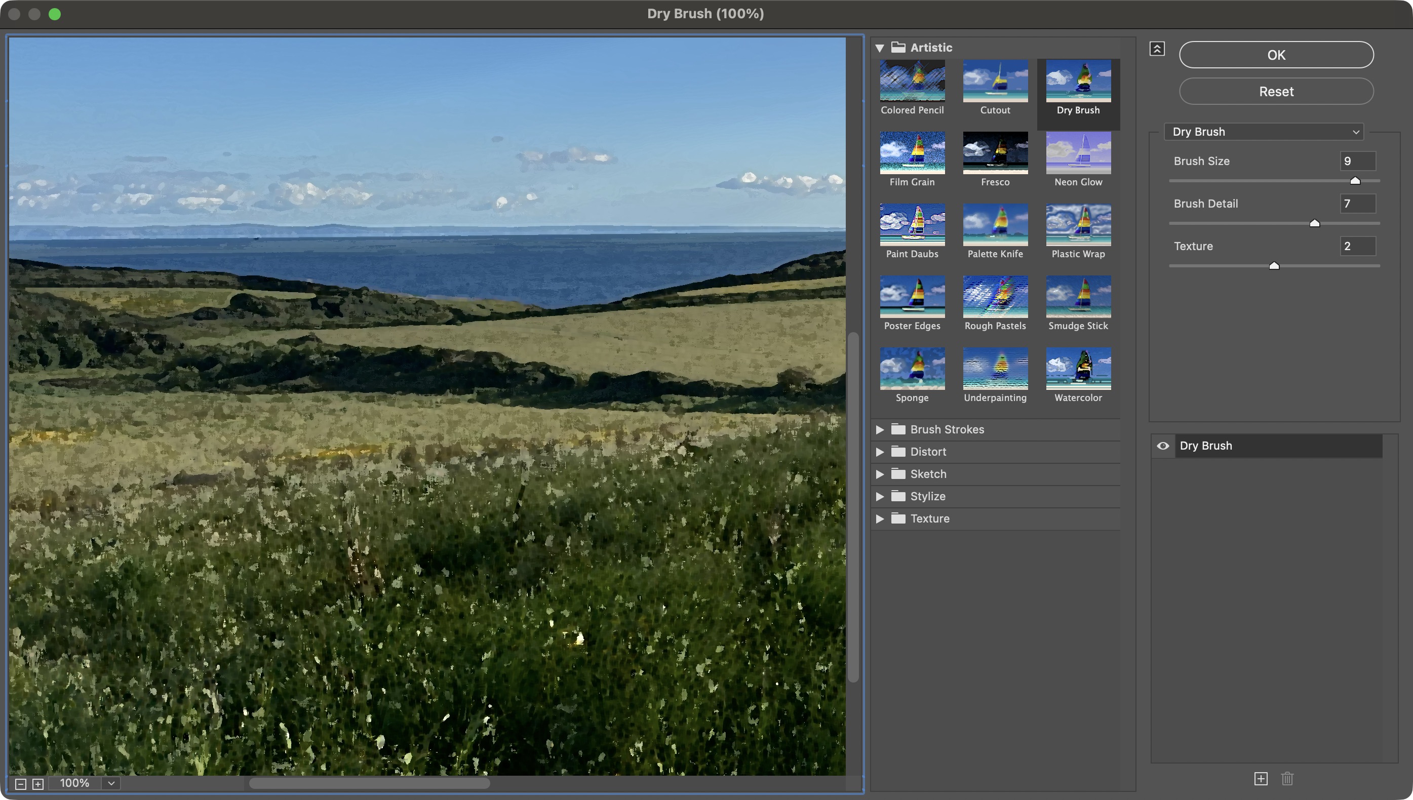 Using various Adobe tools and software to turn photos into cartoons