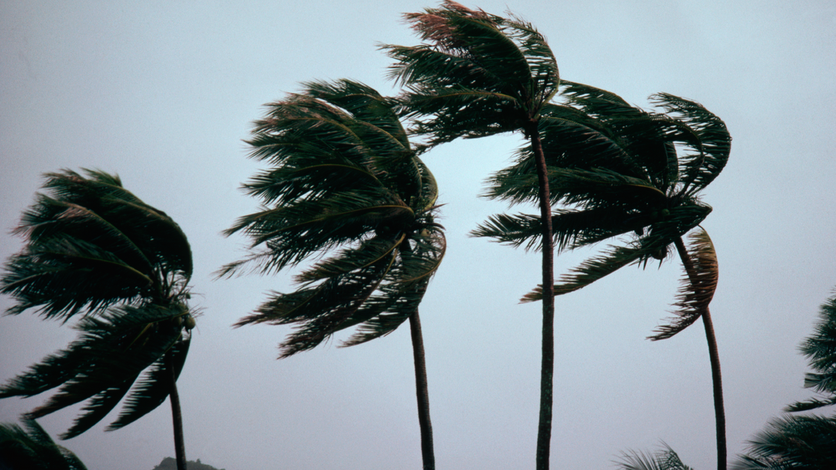 Hurricane Ian: where is the dangerous storm headed?