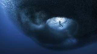 How a photographer on an unplanned dive swam into a mass of sardines and captured this breathtaking, ethereal image