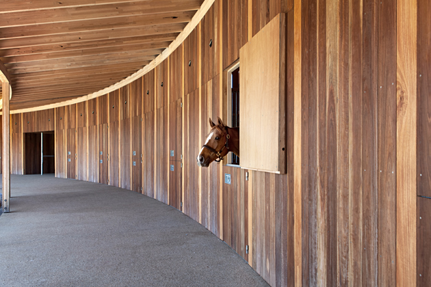 5.Merricks_Stables_1287