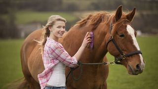 Teenaged girl brushing chestnut horse in field