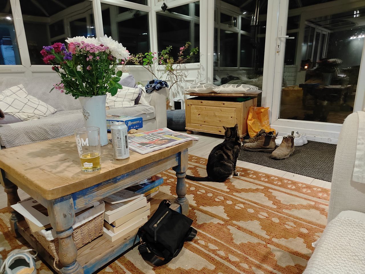Nubia Red Magic 9 Pro camera sample cat