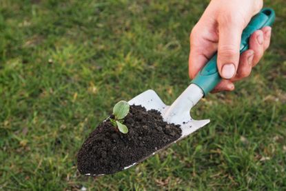 Garden fork online and trowel