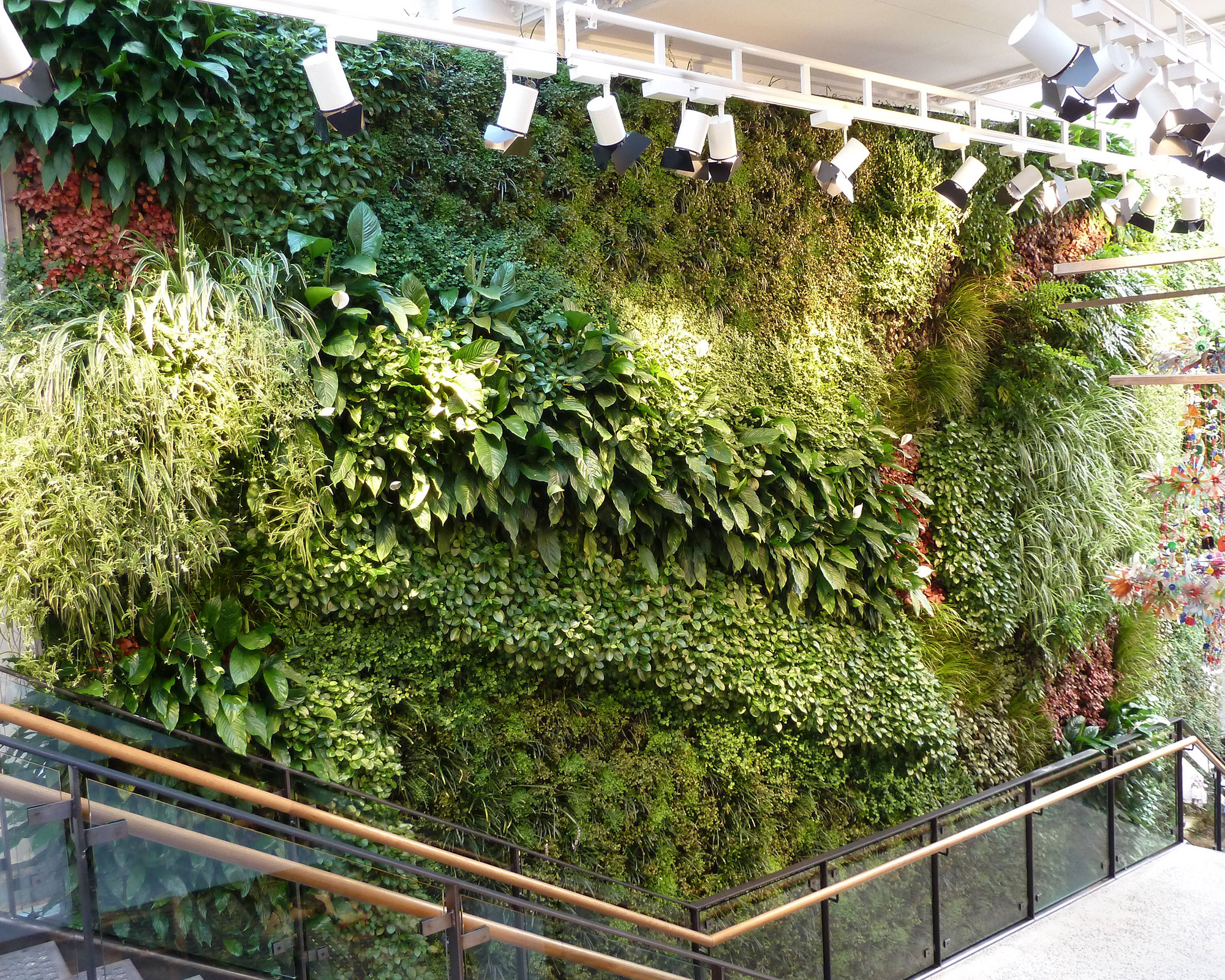 An indoor garden wall idea at an Anthropologie store