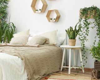 houseplants in a Scandi-style bedroom