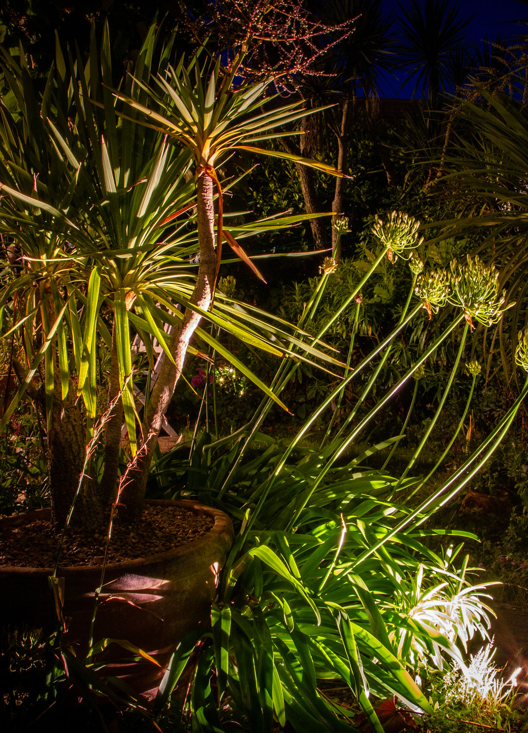 hidden exterior lighting in planting