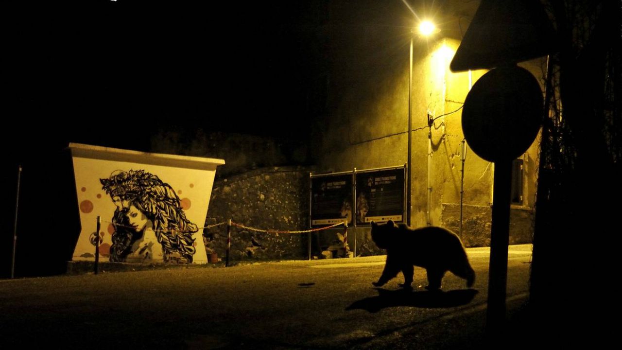 Wildlife Photographer of the Year winners