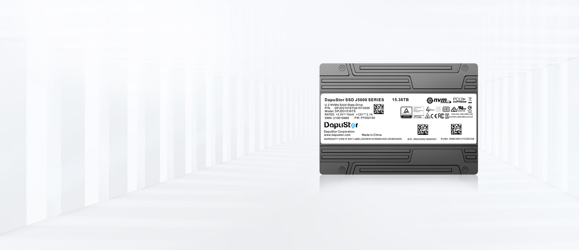 DapuStor J5060 U.2 SSD