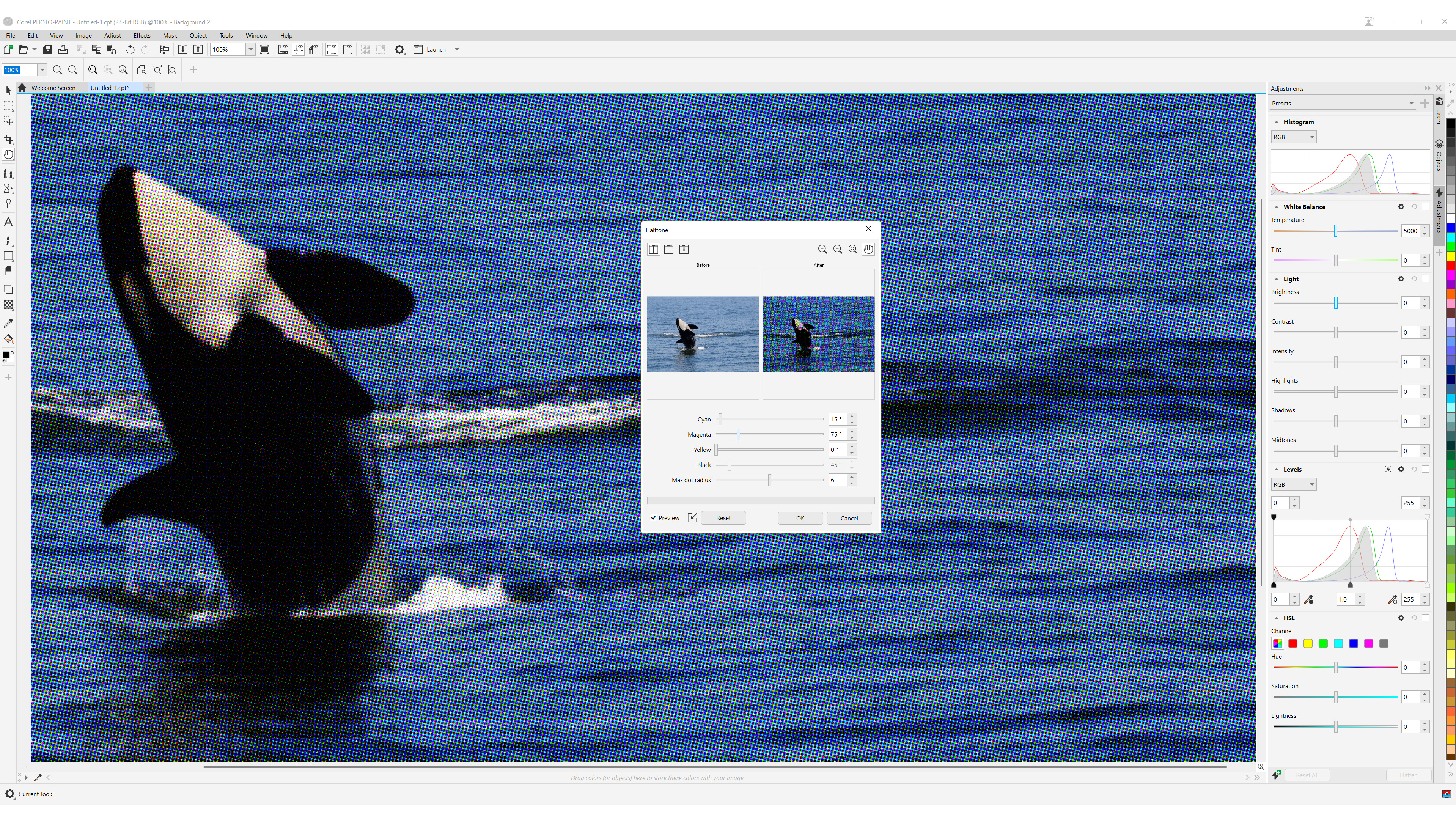 Corel Graphics Suite 2025