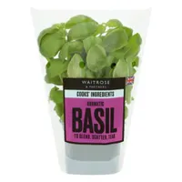 Cooks' Ingredients Basil Pot | £1.80 at Waitrose