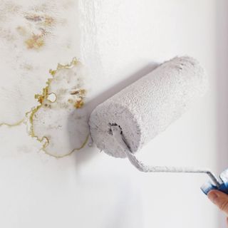 roller brush painting over mould on wall