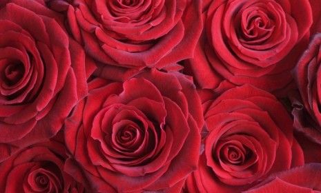 What if those pretty red petals were made of meat? That&amp;#039;s the genius behind one U.K. farmer&amp;#039;s &amp;quot;steak bouquet&amp;quot; this Valentine&amp;#039;s Day.