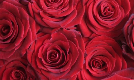 What if those pretty red petals were made of meat? That's the genius behind one U.K. farmer's "steak bouquet" this Valentine's Day.