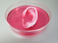 bioprinter, tissue engineering, 3d printing