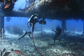 IMAX filming at Aquarius Reef Base
