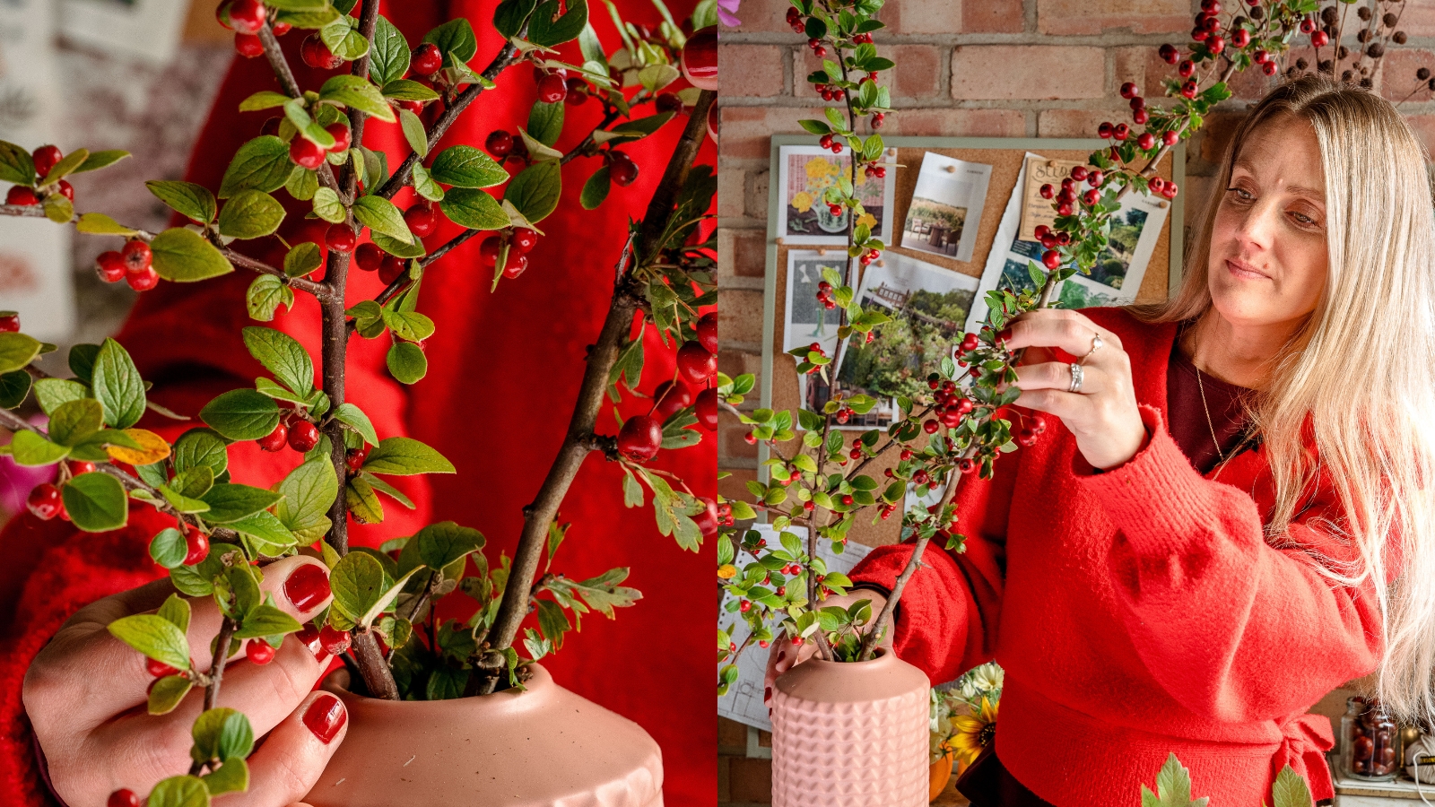 Red hawthorn berries and cotoneaster in pink vase with woman in red cardigan