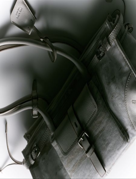 Prada Bonnie Bag