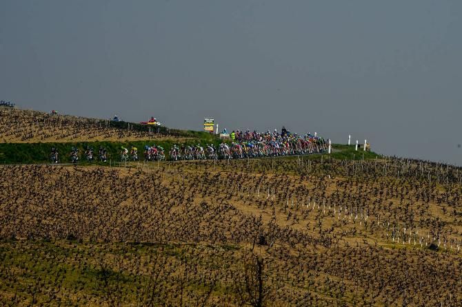 The Paris-Nice peloton in action during stage 5