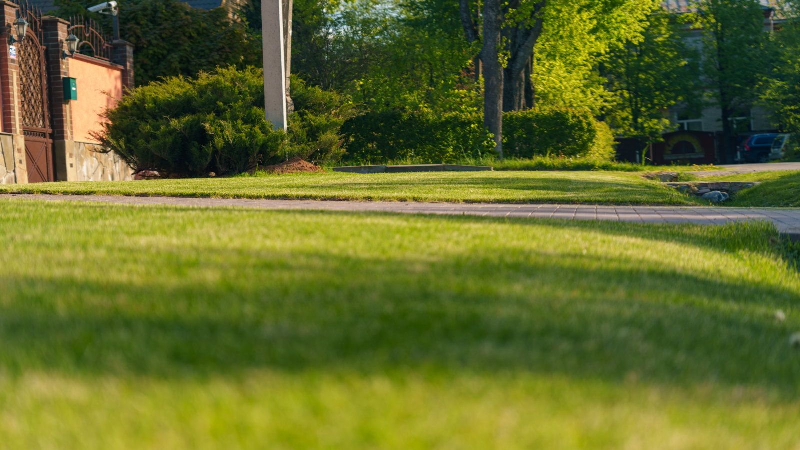 This Is the Ideal Soil Temperature to Start Spring Lawn Care – And What to Do When It Hits