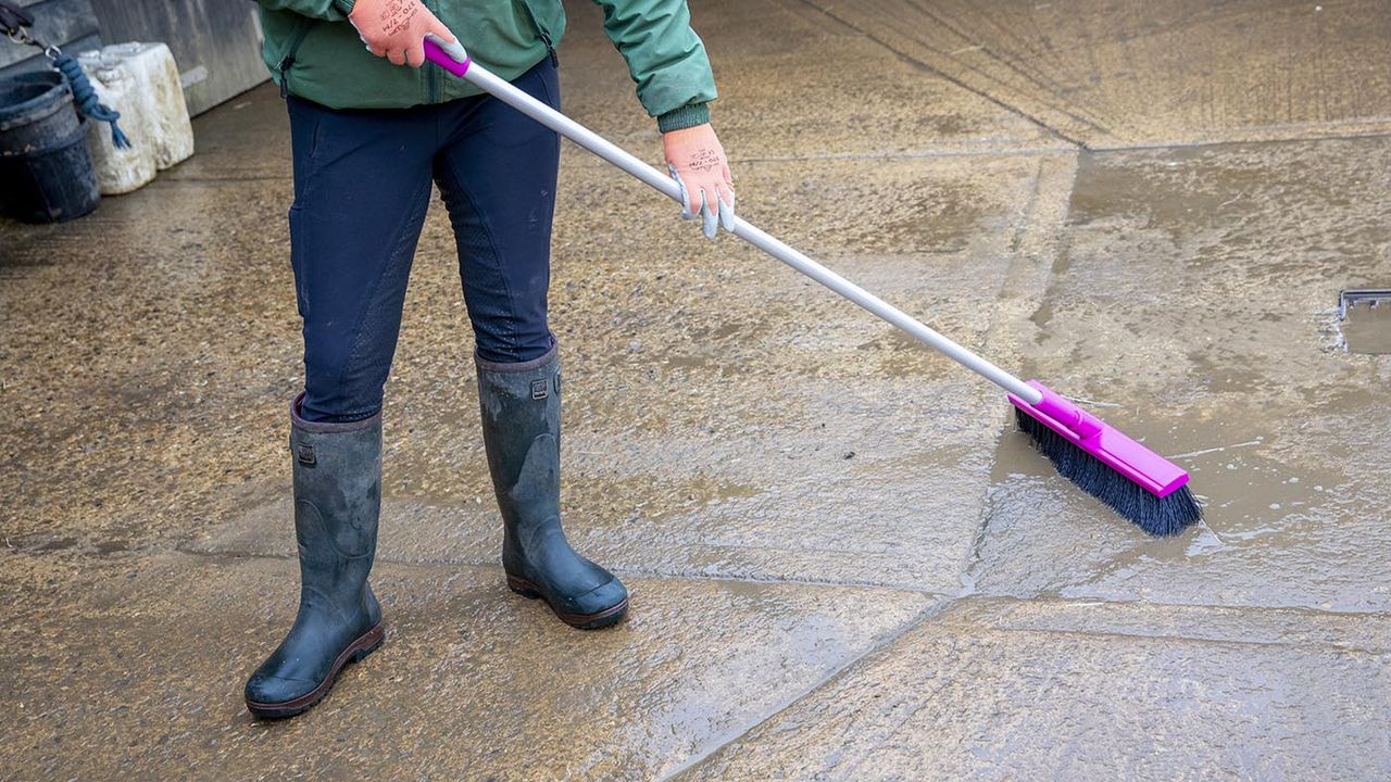 Harold Moore stable and yard broom&nbsp;review