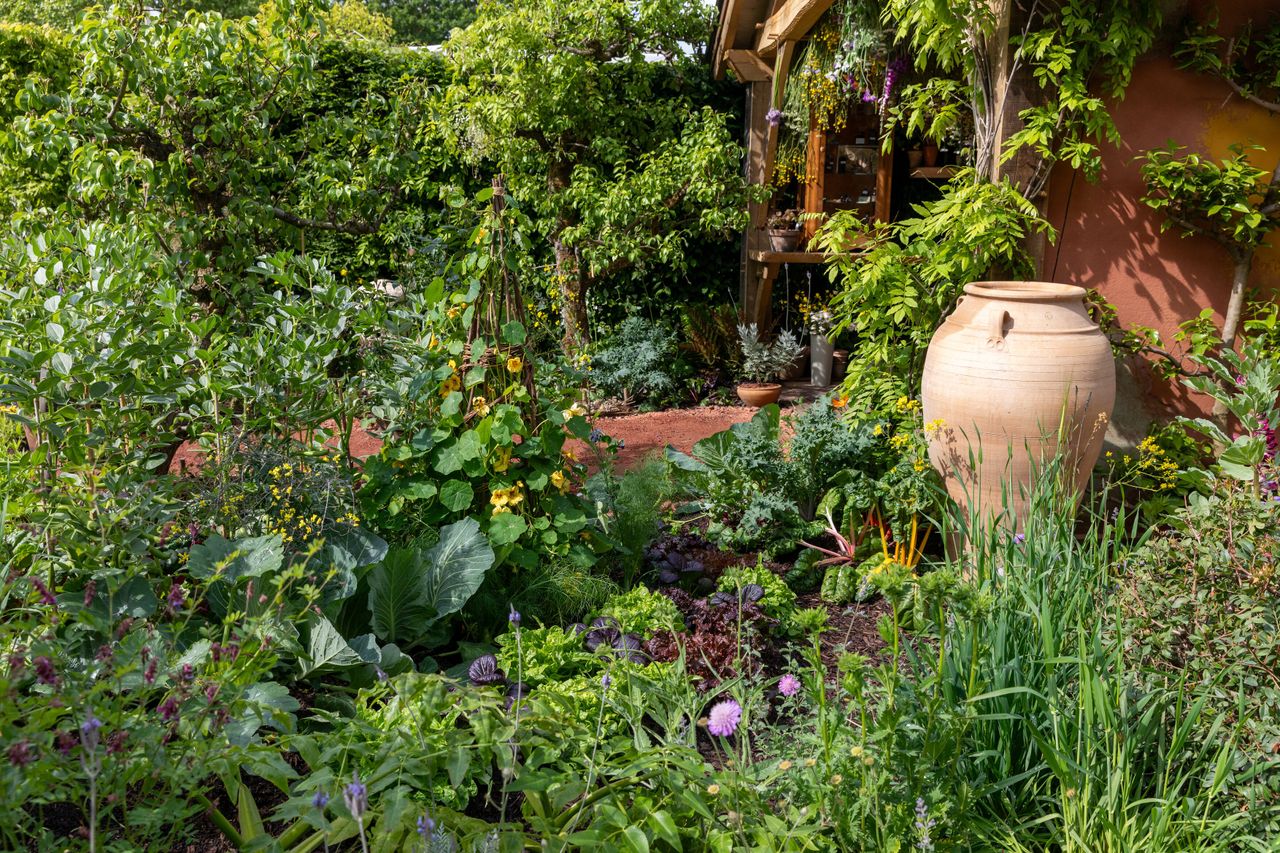 Close up and details of the King's Garden at RHS Chelsea, showing the planting and the central oak structure