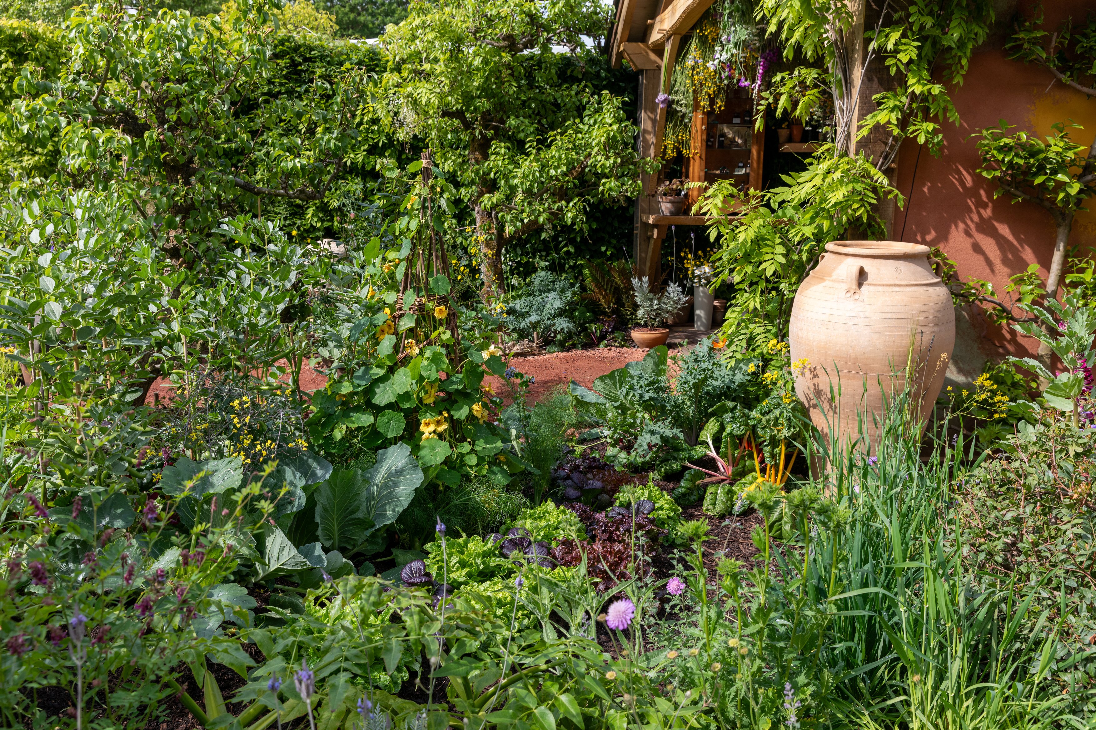 Close up and details of the King's Garden at RHS Chelsea, showing the planting and the central oak structure