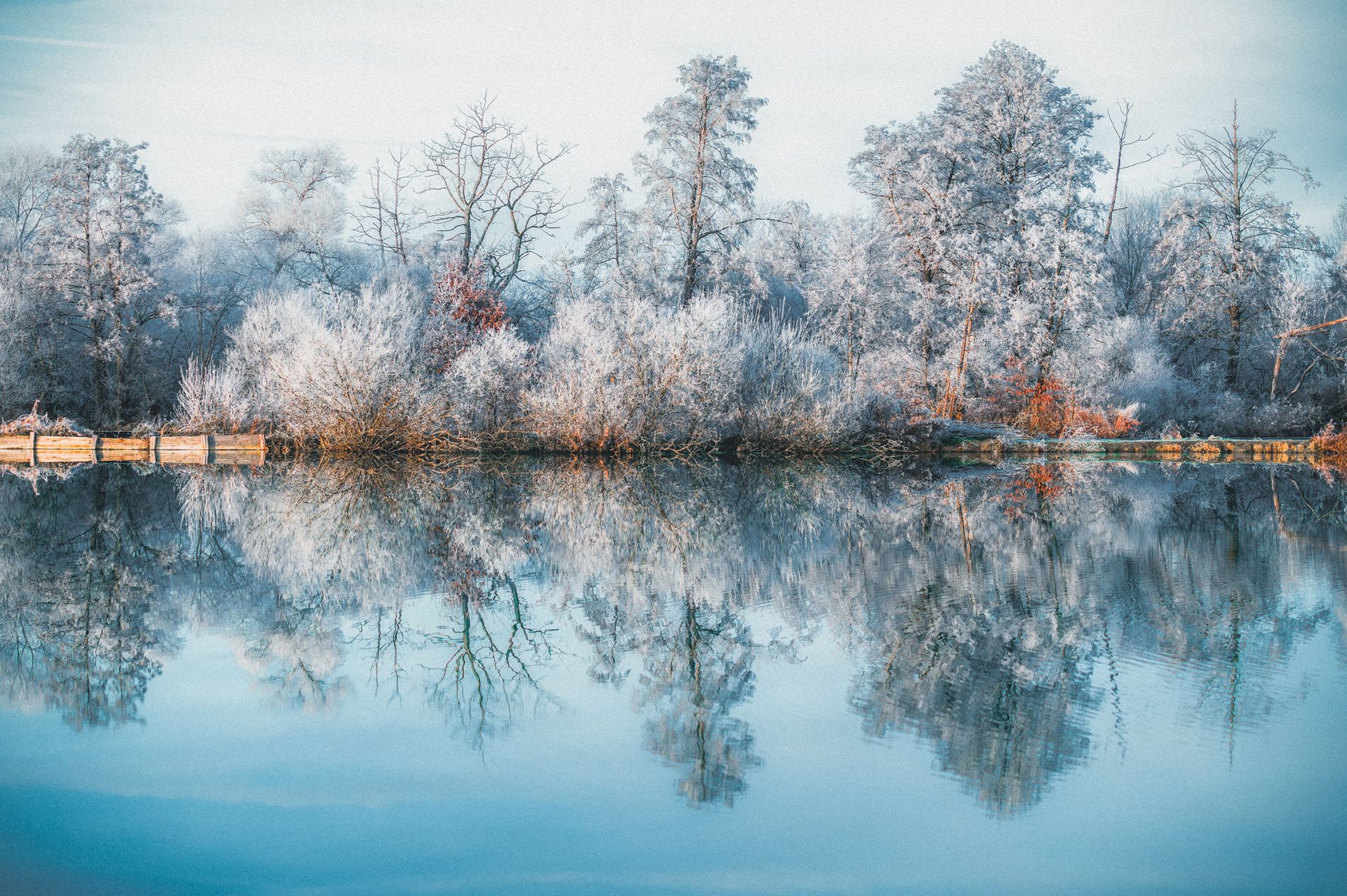 GuruShots - February 2026