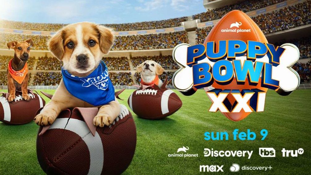 Puppy Bowl 2025 poster