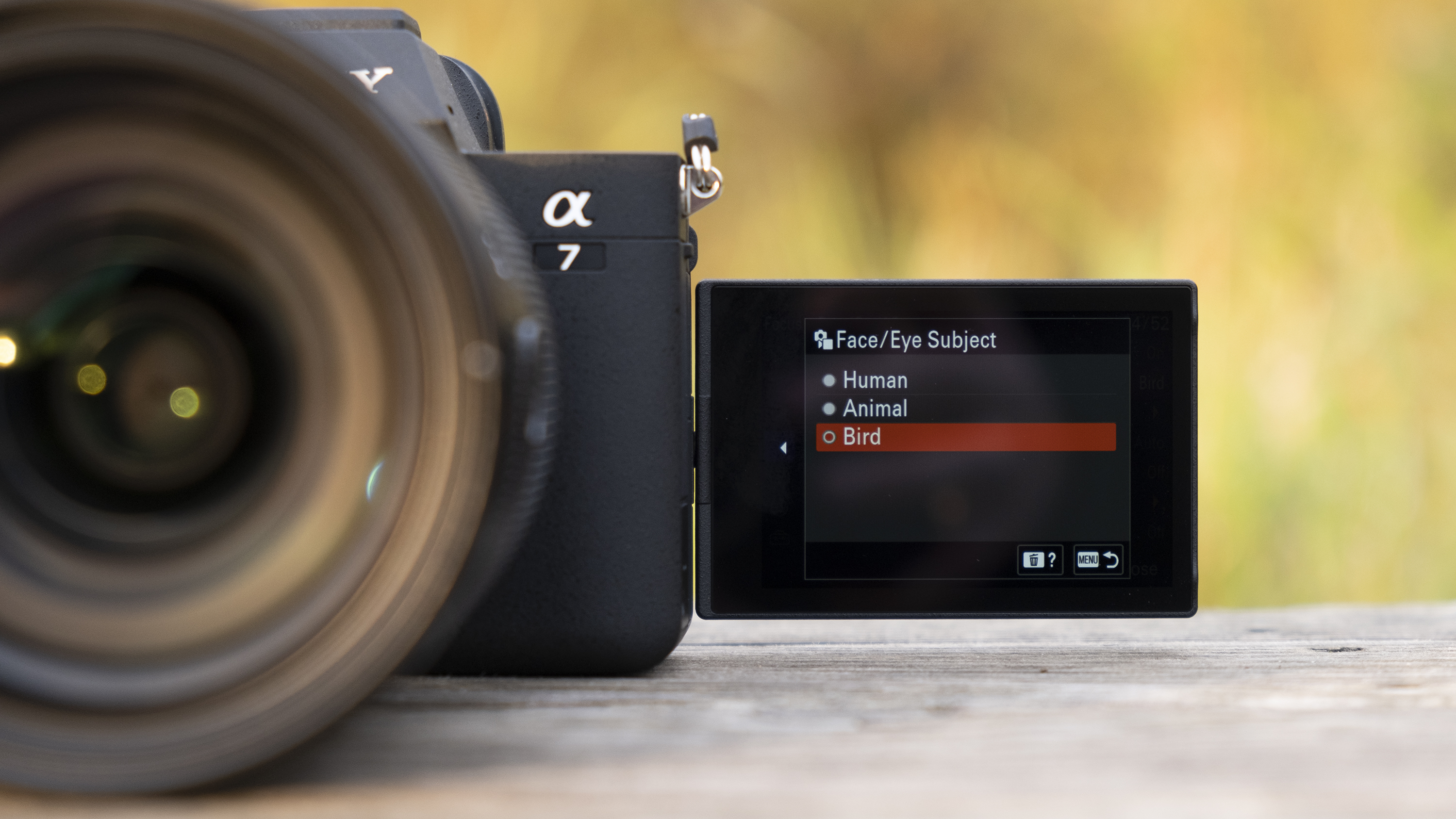 The forward-folding Vario screen of the Sony A7 IV