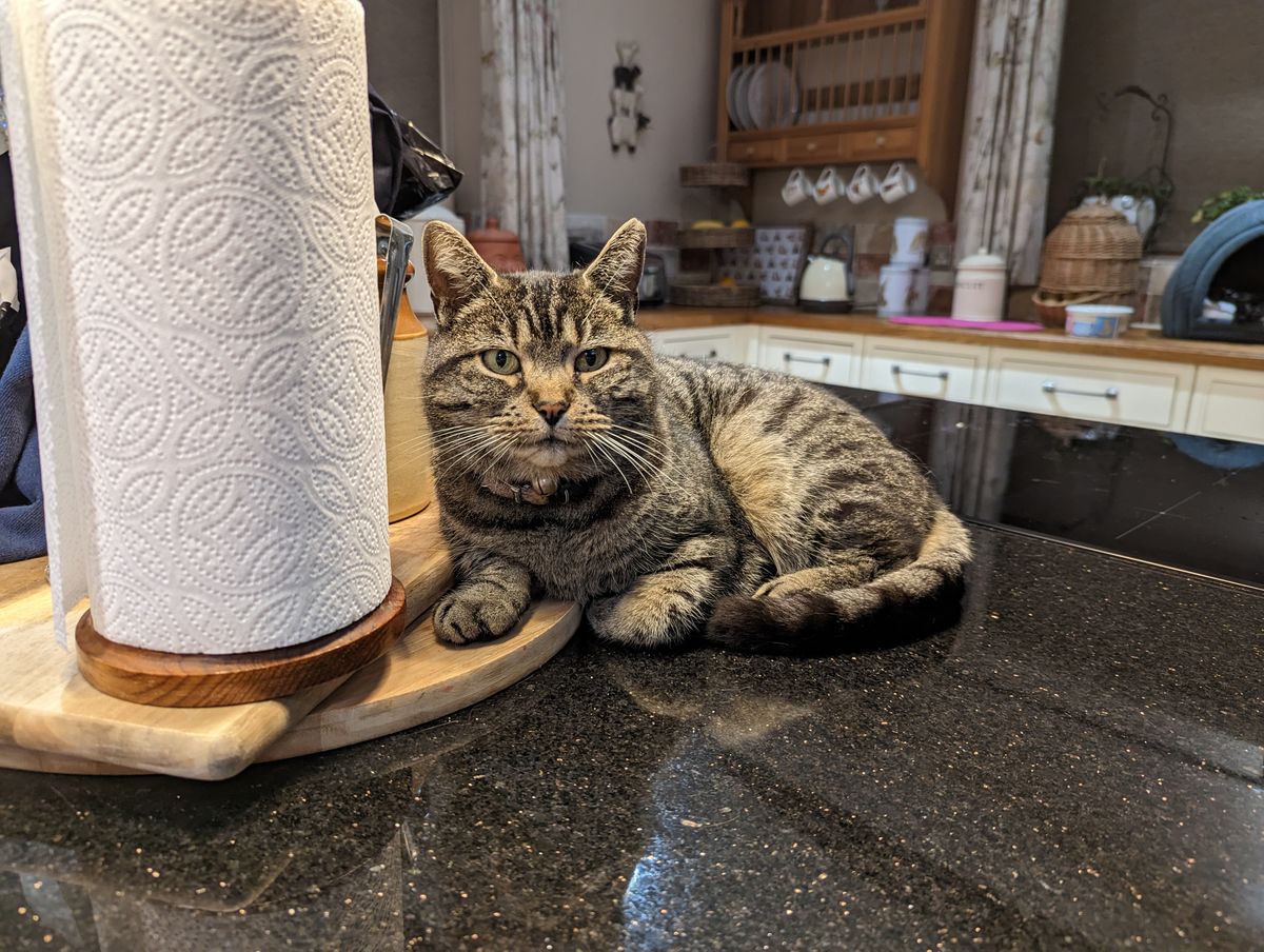 A photo captured on the Google Pixel 7 Pro