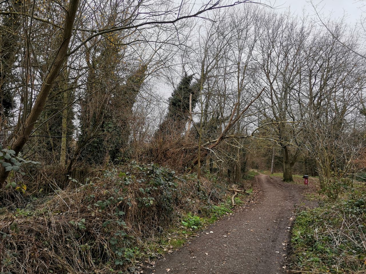 The AI shooting mode here has done its best to bring out both the highlights and shadows in all that near-field foliage. Intense, but effective.