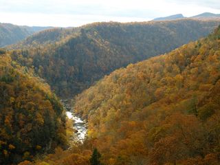 Kentucky Hills