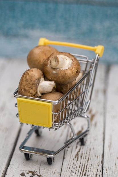Tiny Shopping Cart Full Of Mushrooms