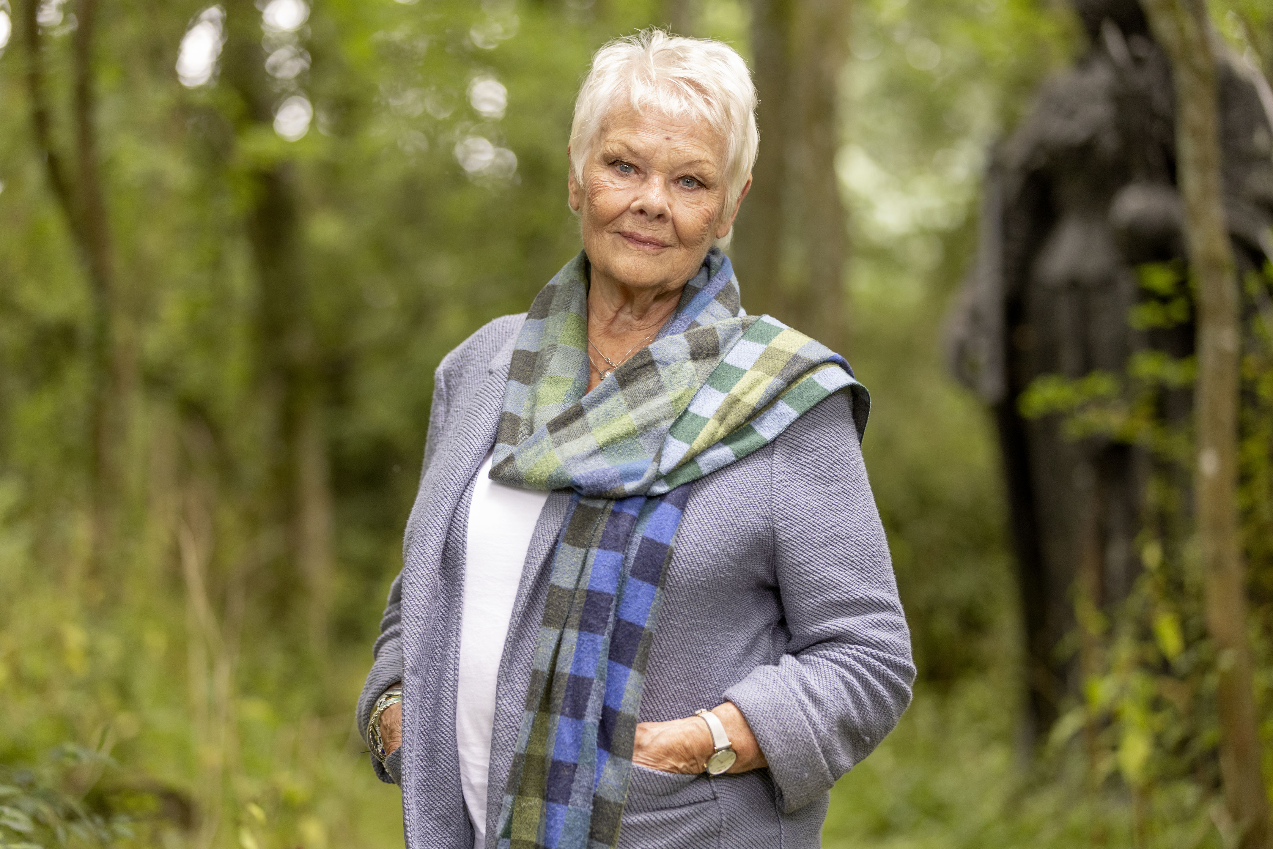 TV tonight Dame Judi Dench