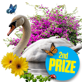 2nd Prize
