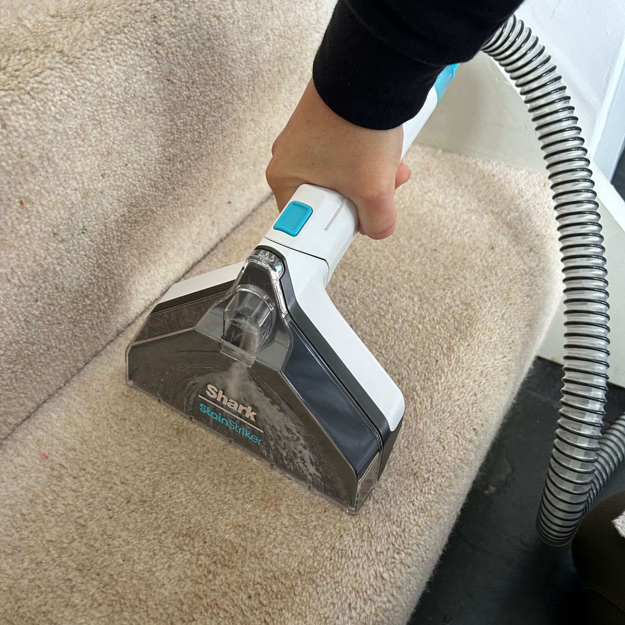 Testing the best carpet cleaners at home