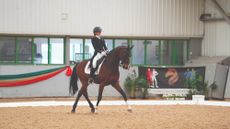 Ruby Hughes riding Farrell at Myerscough College High Profile.