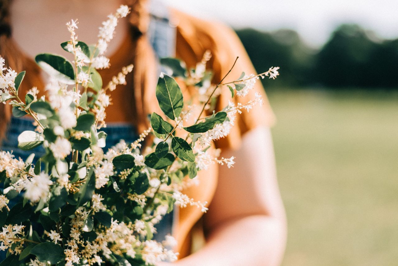 wildflowers