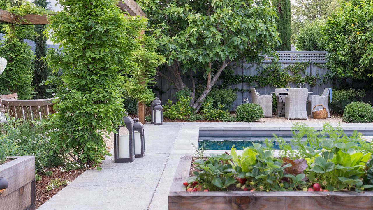 raised beds for growing vegetables around a pool in a backyard