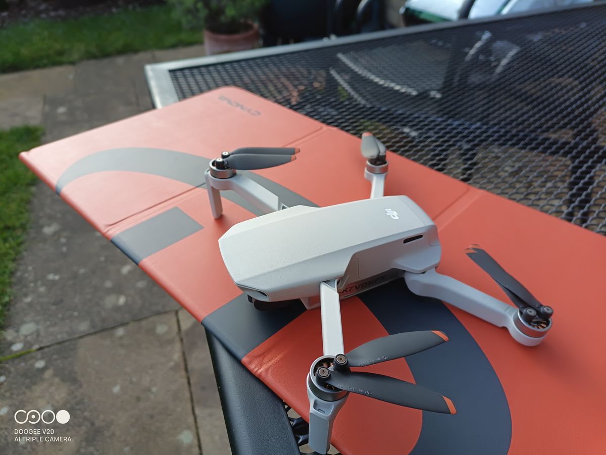 Doogee V20 camera examples