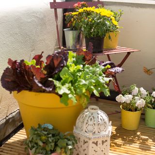 A balcony with a red metal chair and potted plants