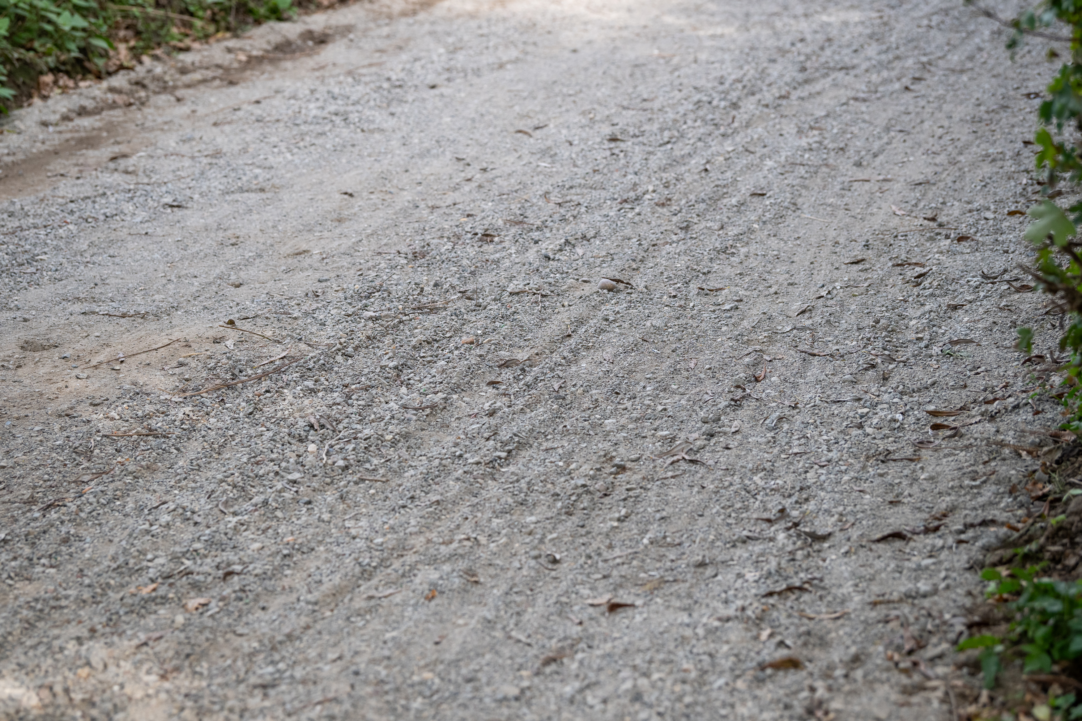Campeonato del Mundo UCI Gravel - Limburgo
