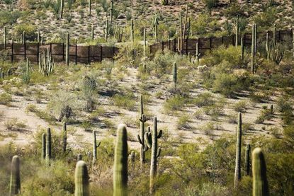 Border fence in Organ Pipe Cactus National Monument