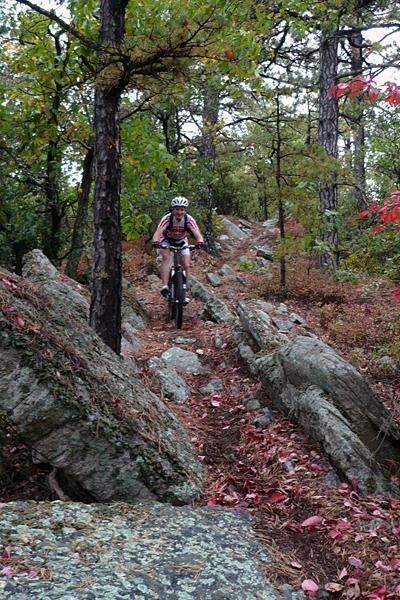 Local Sue Haywood (Trek / VW) will not be at the Hoo-Ha!