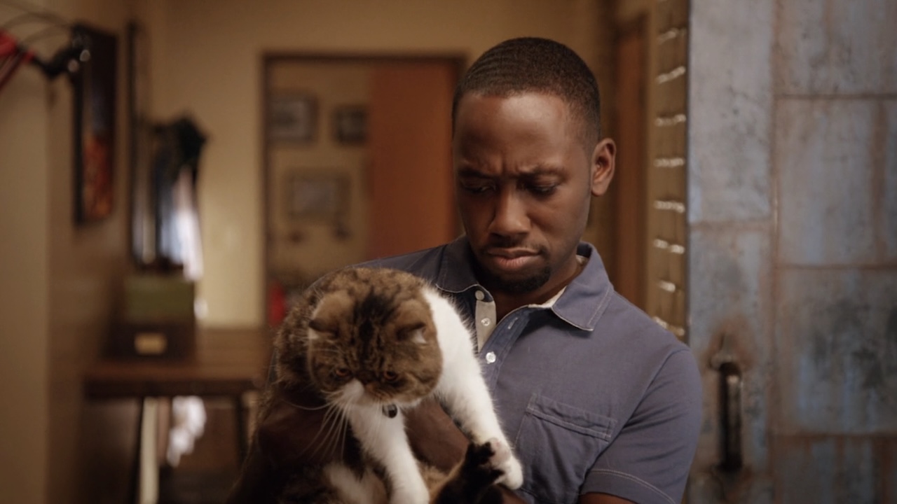 『ニュー・ガール』で猫のファーガソンを抱くウィンストン