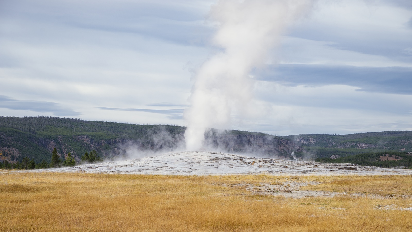Old Faithful Geyser erupting at sunset in Yellowstone National Park. Old Faithful Geyser Basin